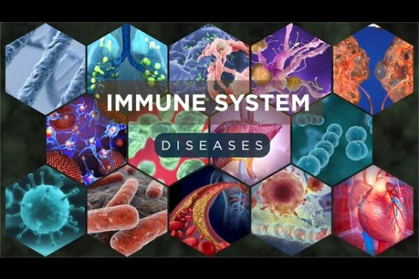 Understanding Immune System Diseases and Cutting-Edge Therapies for Better Health