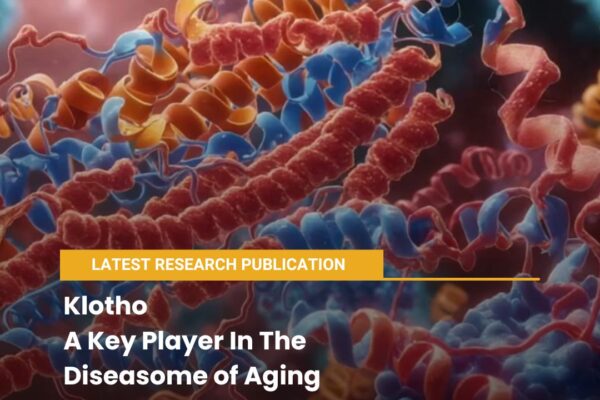 Klotho – A Key Player in the Diseasome of Aging