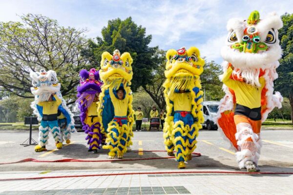 A vibrant display of colors as the lion dancers perform, bringing energy to the festive atmosphere.